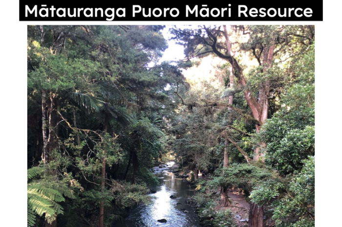Matauranga Puoro Māori Resource